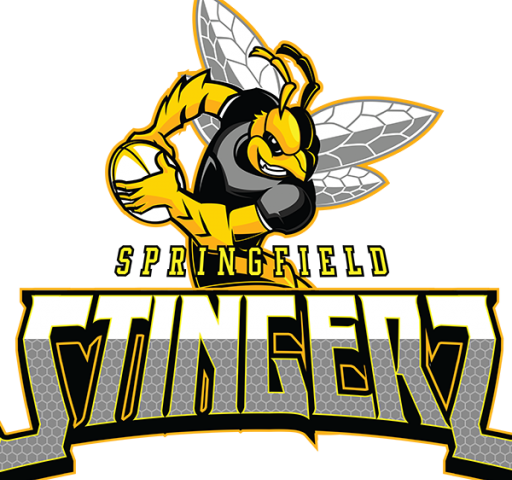 https://springfieldstingers.com/wp-content/uploads/2024/02/cropped-loogoo-600-512x480.png